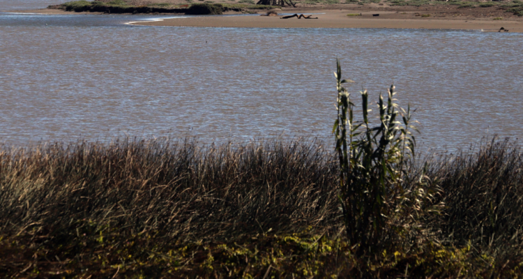 Referencia | AgenciaUno