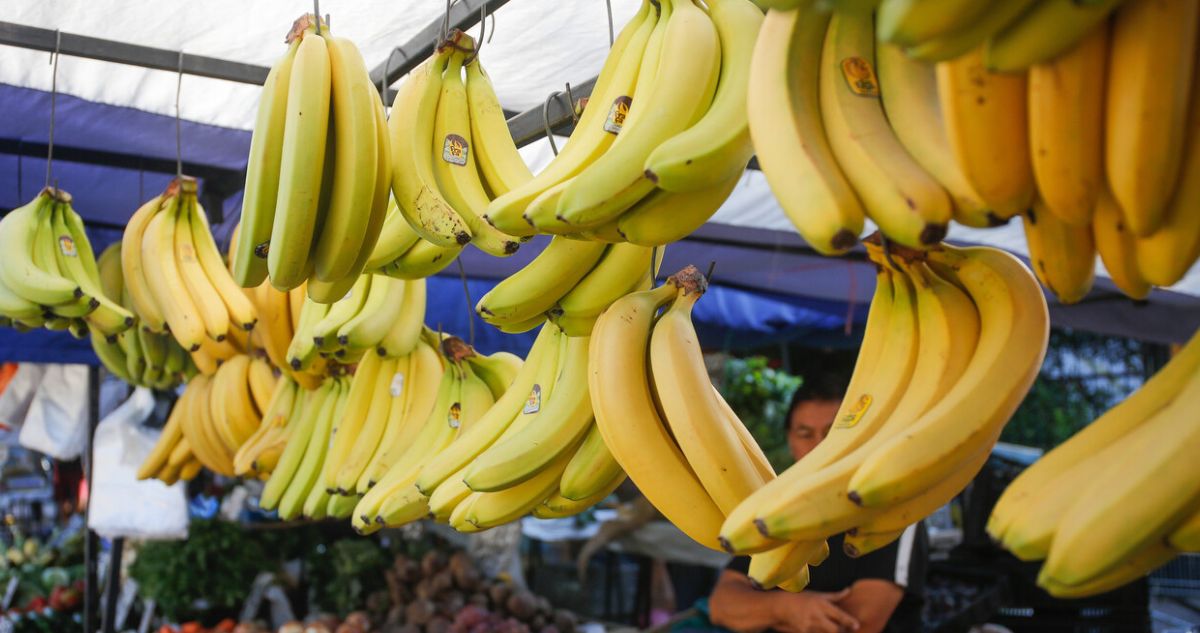 Platanos