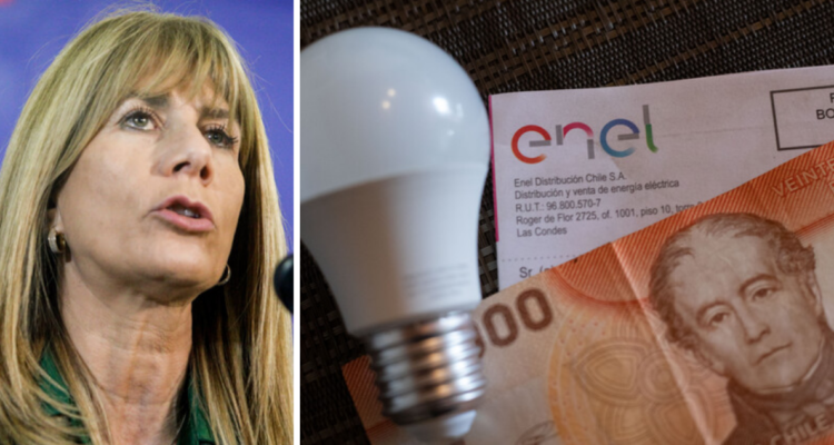 Rincón aclara postulación a subdidio eléctrico y anticipa alza de la luz: golpe sería mayor en el sur