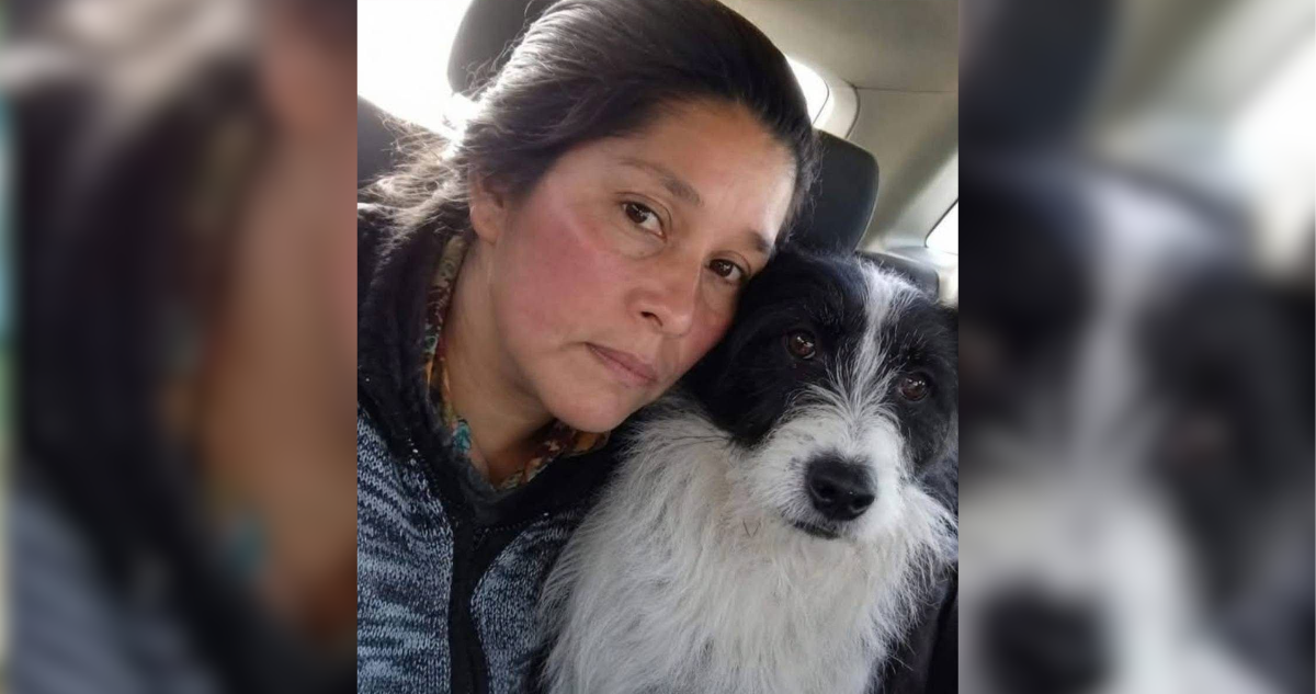 Salió con su esposo y buscaba animales con un perro: los detalles de desaparición de mujer en Quellón