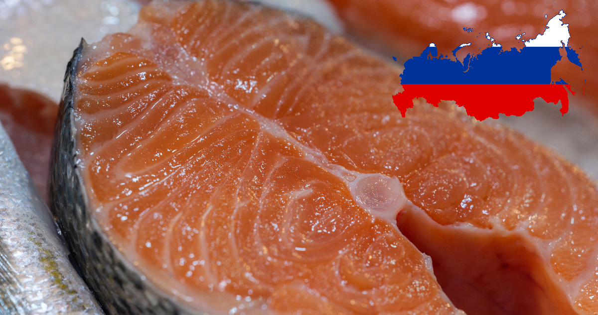 Rusia redujo drásticamente sus importaciones de salmón chileno en los primeros meses de 2026