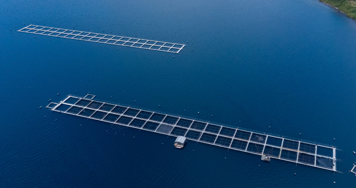 Autoridades de Los Ríos expresan oposición a piscicultura que se pretende instalar en el río San Pedro