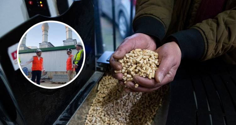 Segunda planta de pellet más grande de Sudamérica se instala en Los Ríos: producirá 22% del nacional
