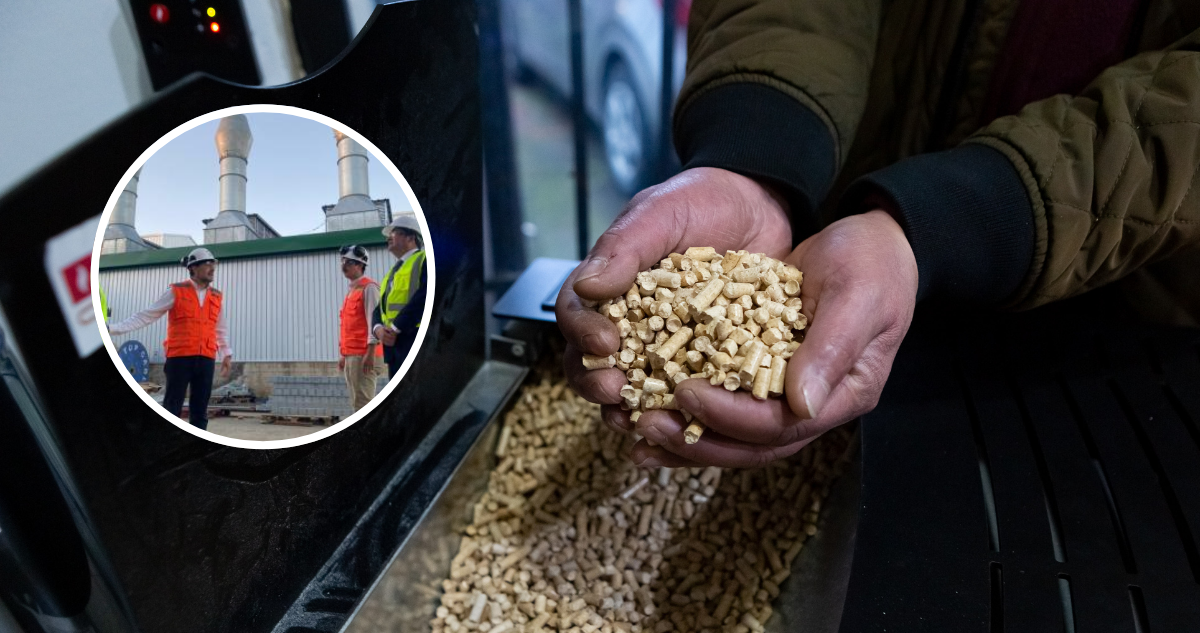 Segunda planta de pellet más grande de Sudamérica se instala en Los Ríos: producirá 22% del nacional