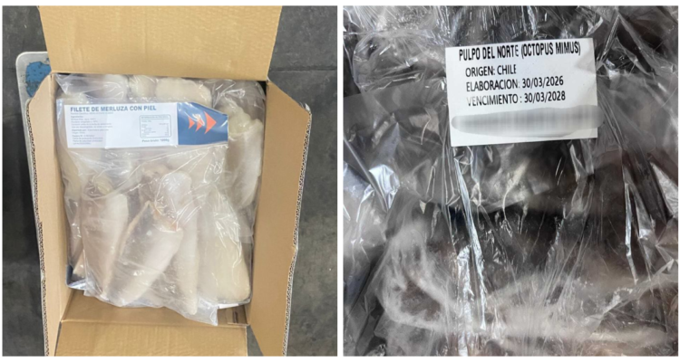 Sernapesca incauta 4,6 toneladas de productos del mar tras detectar bodegas irregulares en la RM