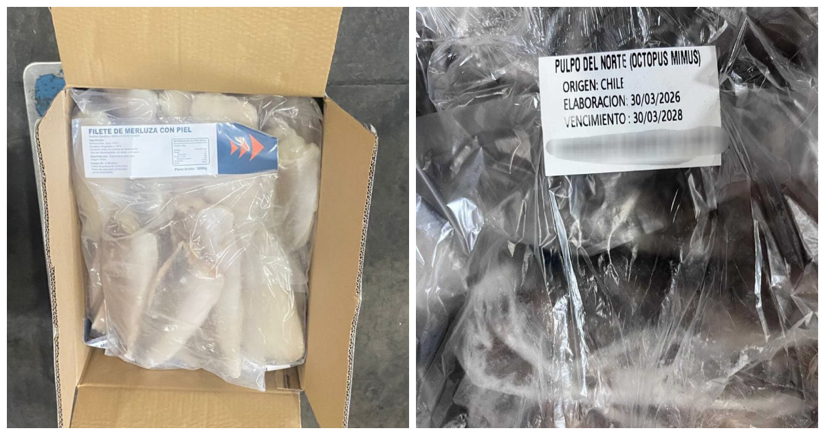 Sernapesca incauta 4,6 toneladas de productos del mar tras detectar bodegas irregulares en la RM