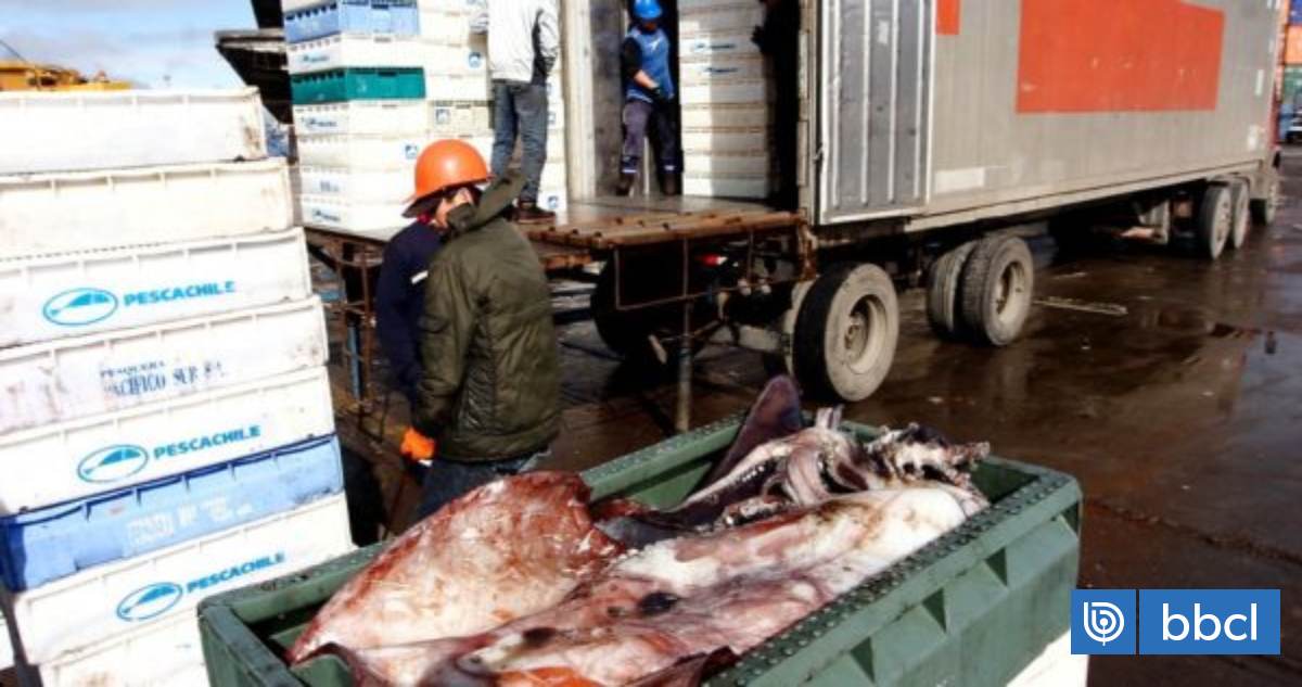 Pescadores acusan a alcalde Puchuncaví retrasar proyecto que
