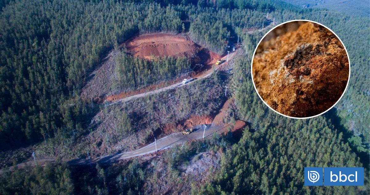 Minera Aclara y aprobación a tierras raras: Una nueva cadena