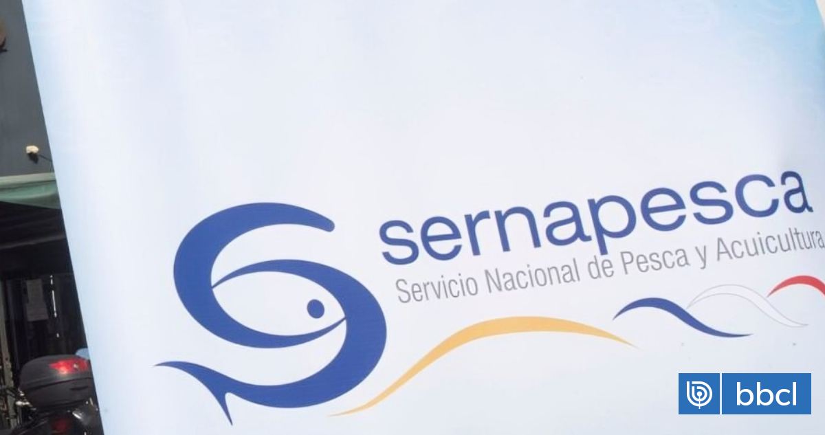 Caen por venta ilegal de productos del mar: Sernapesca apunt