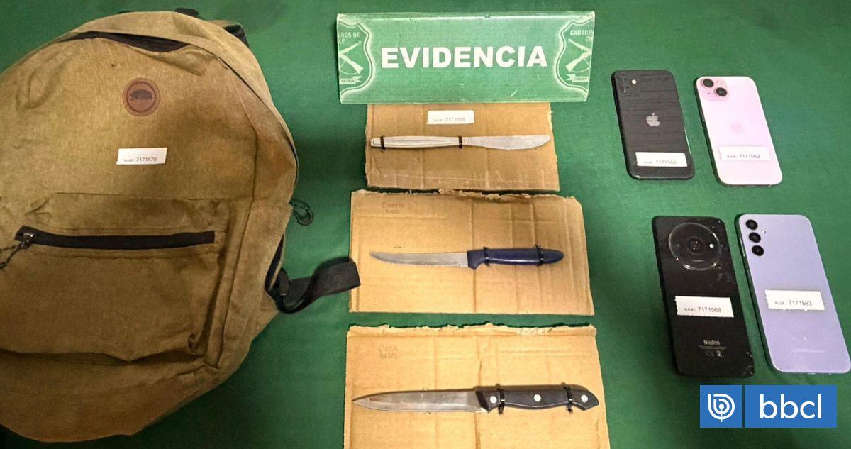Cuatro adolescentes extranjeros detenidos por asalto en Las 