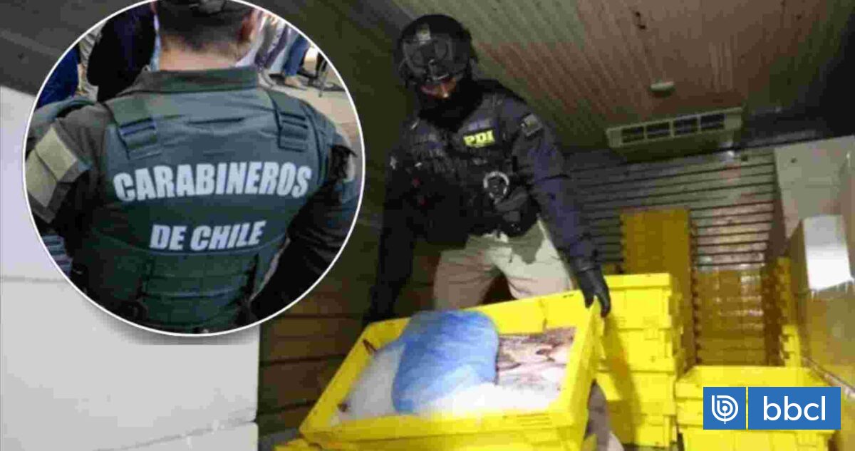 "Hacían vista gorda": Así operaba red de venta ilegal de pro