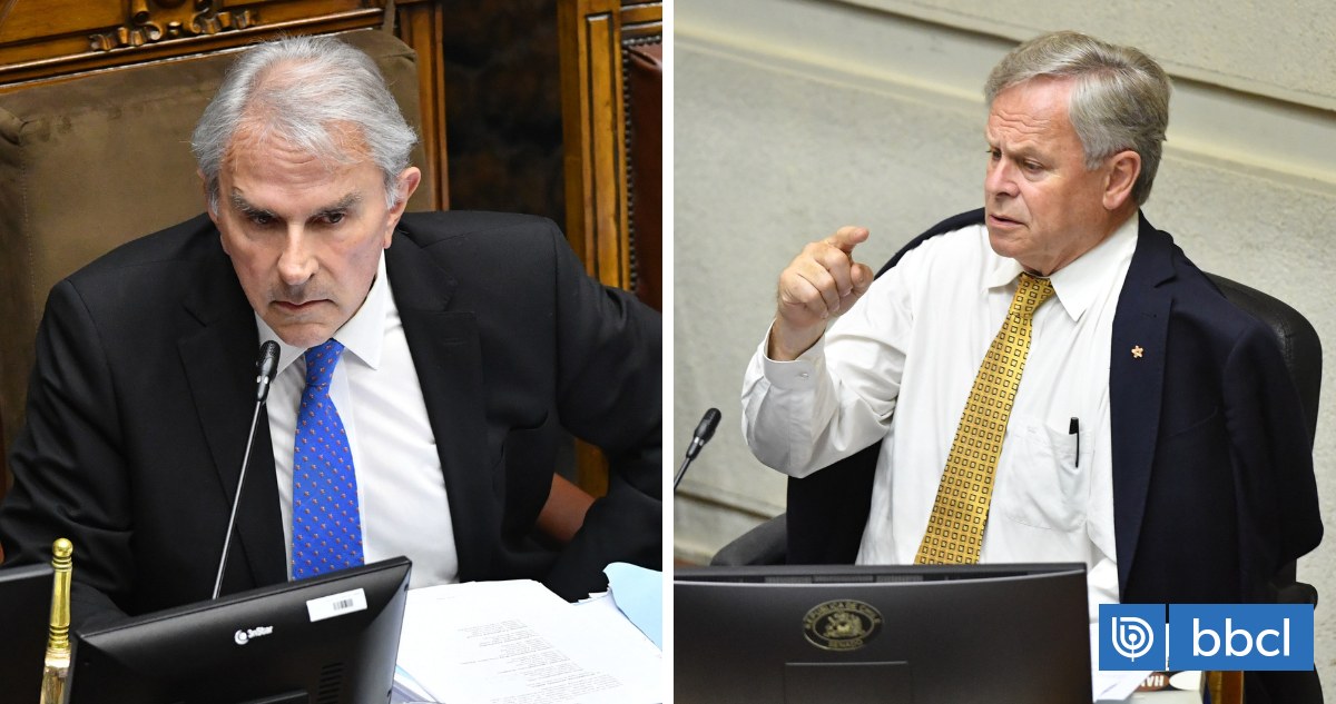 Senadores en Los Lagos critican al SII por pago de casas de 