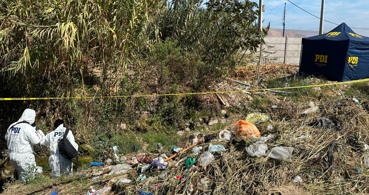 Fiscalía y PDI investigan hallazgo de cadáver de una mujer en plena carretera en el Valle de Azapa