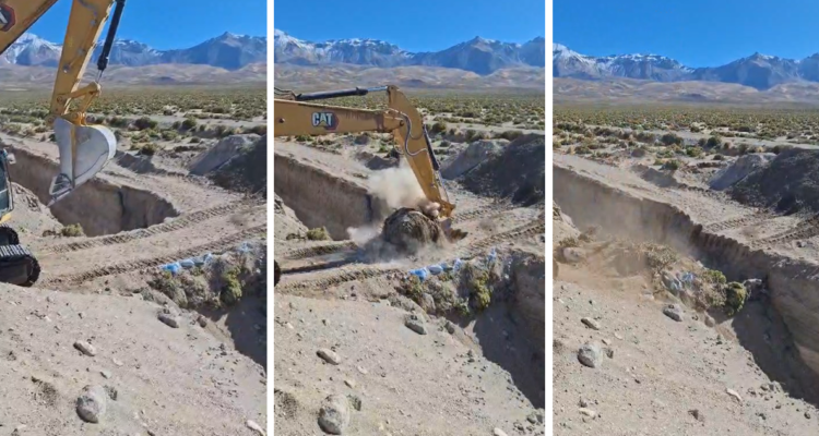 VIDEOS | Gobierno demuele el puente clandestino instalado en zanja de la frontera norte