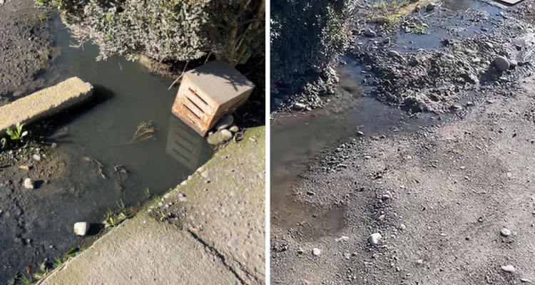 Osorno: el escepticismo de vecinos de Villorio Pichil por anuncios para planta de tratamiento de aguas