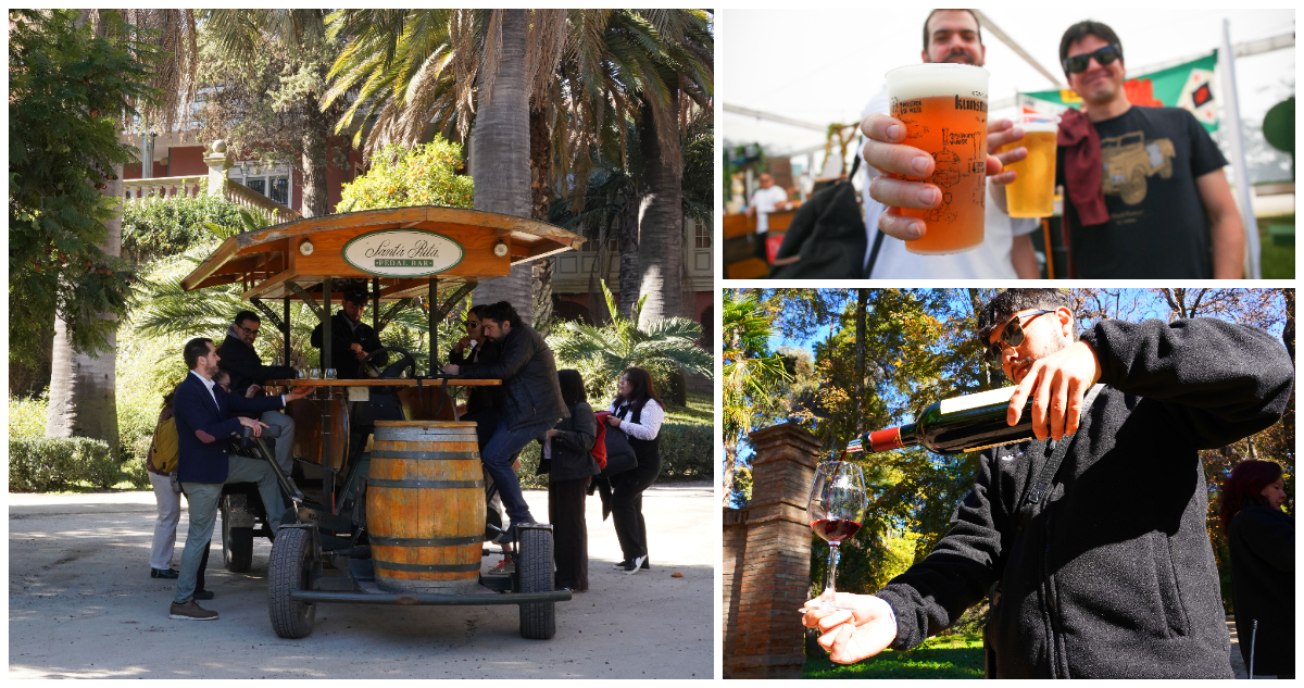 ¿Hay más cerveceros?: Las tácticas de los viñateros chilenos ante caída mundial del consumo de vino