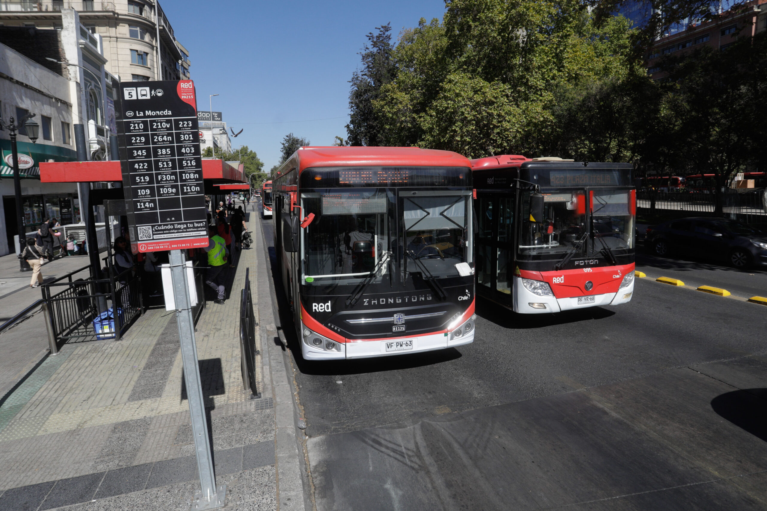Buses Red juramento a la Bandera