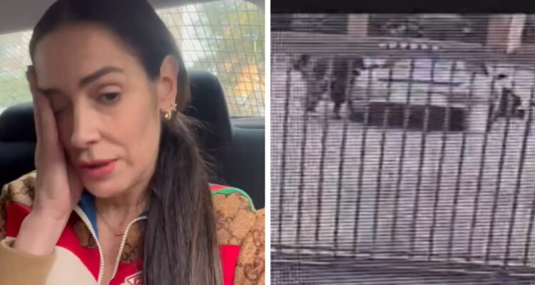 Adriana Barrientos sufre portonazo: fue golpeada y le robaron un vehículo Porsche