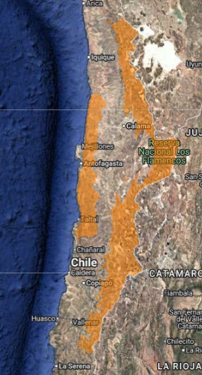 Alerta por vientos norte Chile