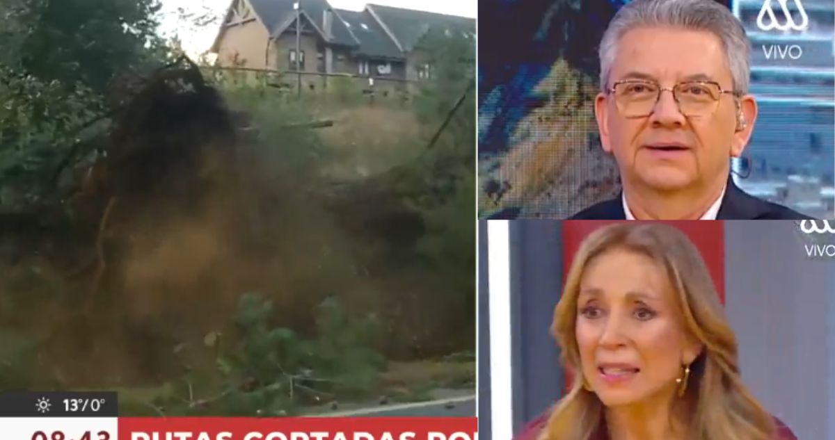 Caída de enorme árbol en vivo y en directo por vientos catabáticos dejó a todos sorprendidos en Mega