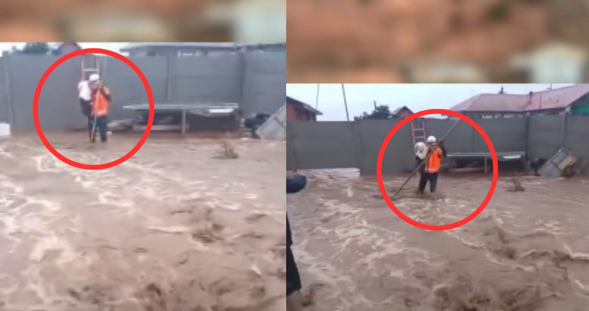 VIDEO | Captan recate de perrito atrapado en inundaciones en Tambillos: otros 25 también están a salvo