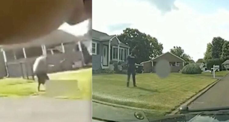 “Horrorizante” video muestra paliza de hijo que mató a su padre y cómo fue abatido por policía en EEUU