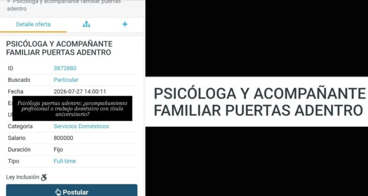 “Nana con título”: Oferta laboral para que profesional se haga cargo de hogar por $800 mil es viral