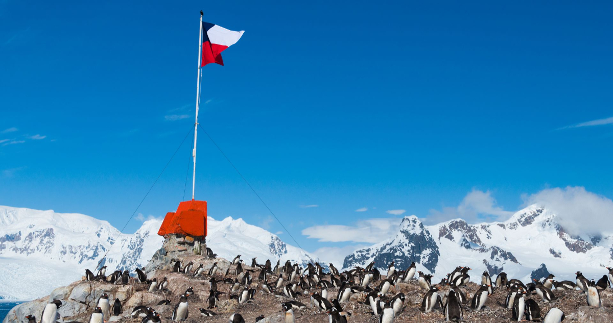 Foto de la Antártica