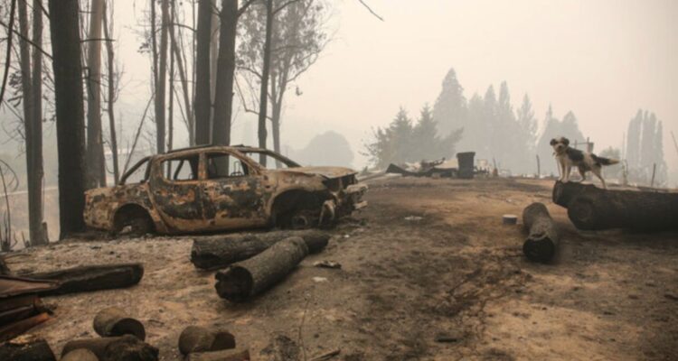 Justicia ordena a Fiscalía cerrar la investigación sobre megaincendio de 2023 en el Bío Bío