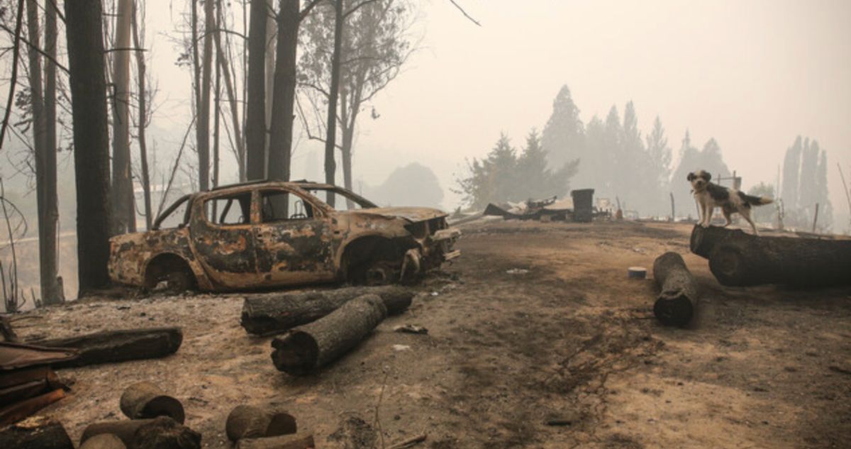 Justicia ordena a Fiscalía cerrar la investigación sobre megaincendio de 2023 en el Bío Bío