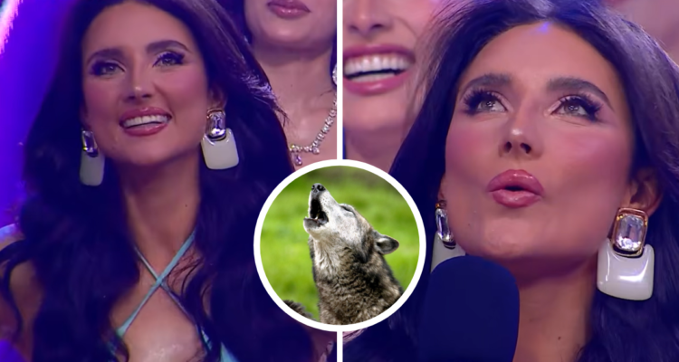 “¡Auú!”: Miss Huechuraba sorprende con particular talento oculto en Miss Universo Chile
