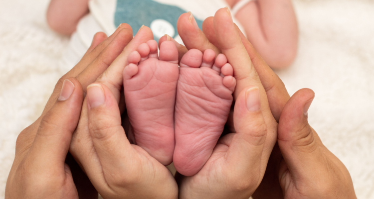 Manos de papá y mamá. Pies de recién nacido.