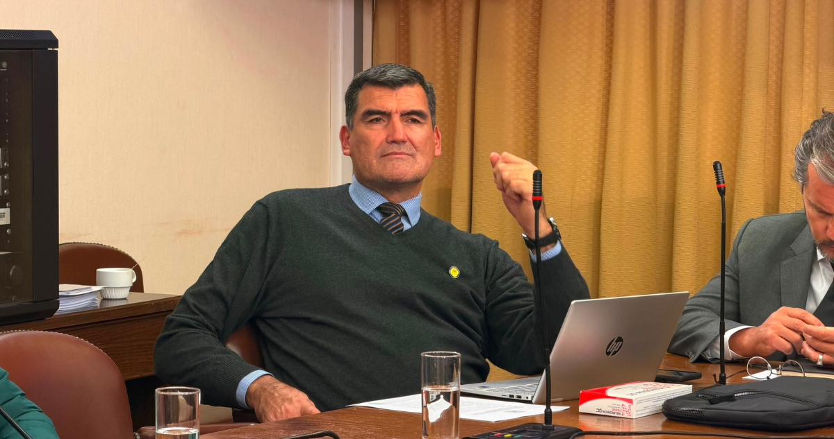 Briones (PDG) reprocha al Gobierno por incumplir acuerdos y asegura que votarán megarreforma en bloque