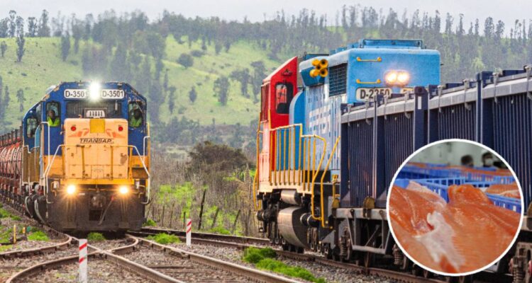Entre Los Lagos y Bío Bío: transporte de salmón por tren podría comenzar este año