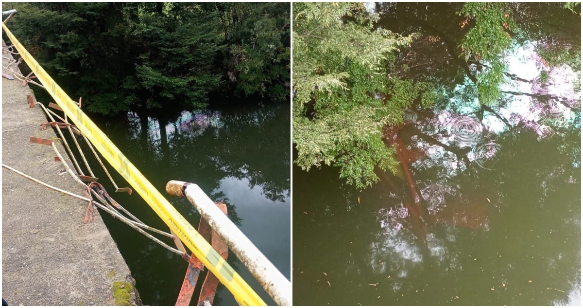 Caída de vehículo en río Lingue en Mariquina