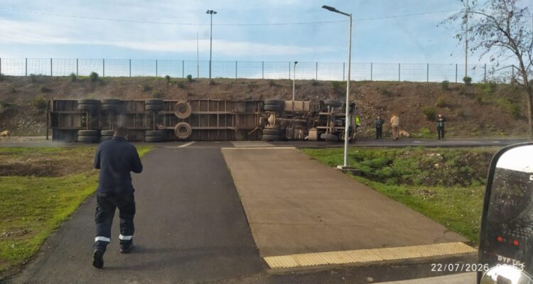 Camión con 400 cerdos se volcó en Talagante: dos murieron y testigos habrían hurtado algunos de ellos