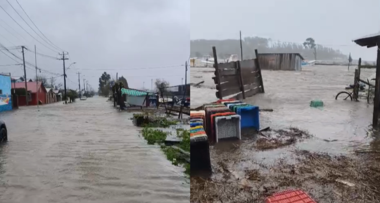 Declaran Alerta Roja en Arauco por crecida de río Pichilo y piden evacuar riberas en Curanilahue