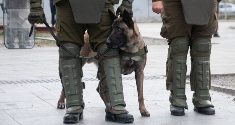 Nuevo ataque a carabineros reabre llamado a discutir RUF e infraestructura crítica en el Senado