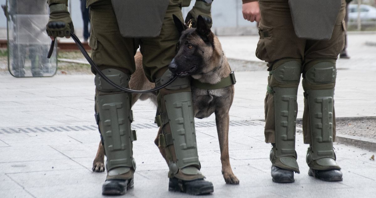 Nuevo ataque a carabineros reabre llamado a discutir RUF e infraestructura crítica en el Senado