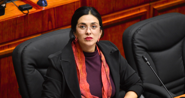 La deuda de $28 millones que acumuló Cariola con Bo Yang por departamento en Providencia