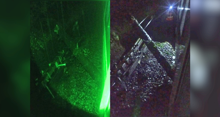 Caída de árbol obliga a detener biotren que conecta Laja con Talcahuano