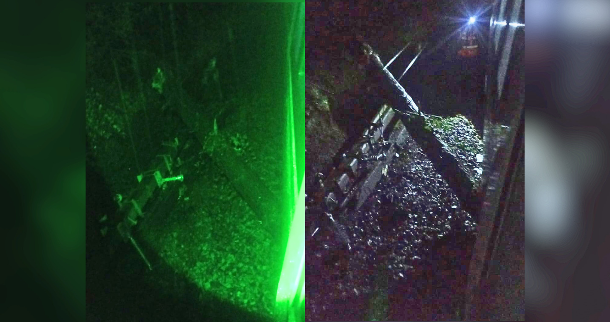 Caída de árbol obliga a detener biotren que conecta Laja con Talcahuano