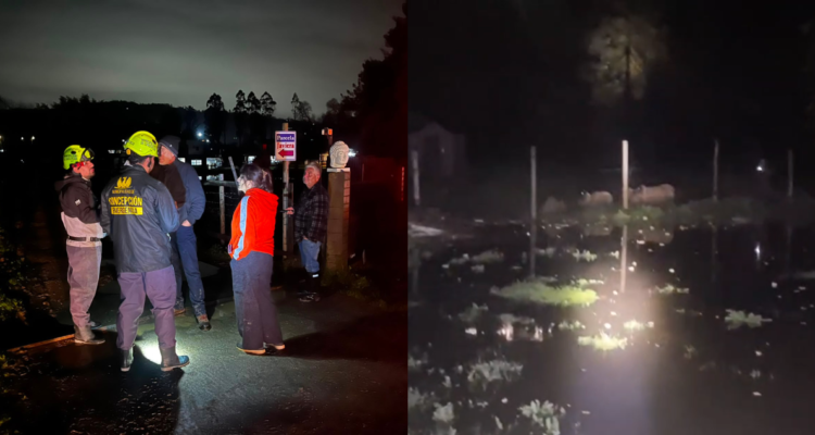 Riesgo de desborde del río Andalién obliga a declarar Alerta Roja para Concepción