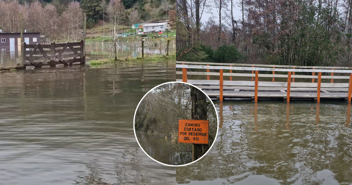 Desborde del río Bueno obliga a declarar Alerta Roja para San Pablo: más de 80 familias aisladas
