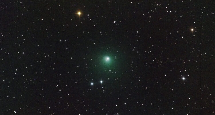 Foto del cometa P10/Tempel 2