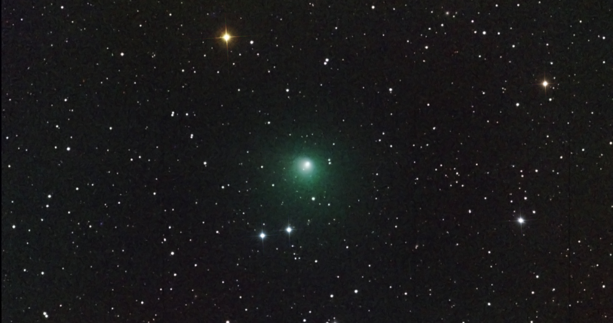 Foto del cometa P10/Tempel 2
