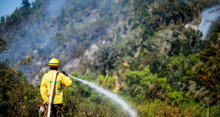 CONAF informa una baja de incendios en la temporada anterior en la Araucanía