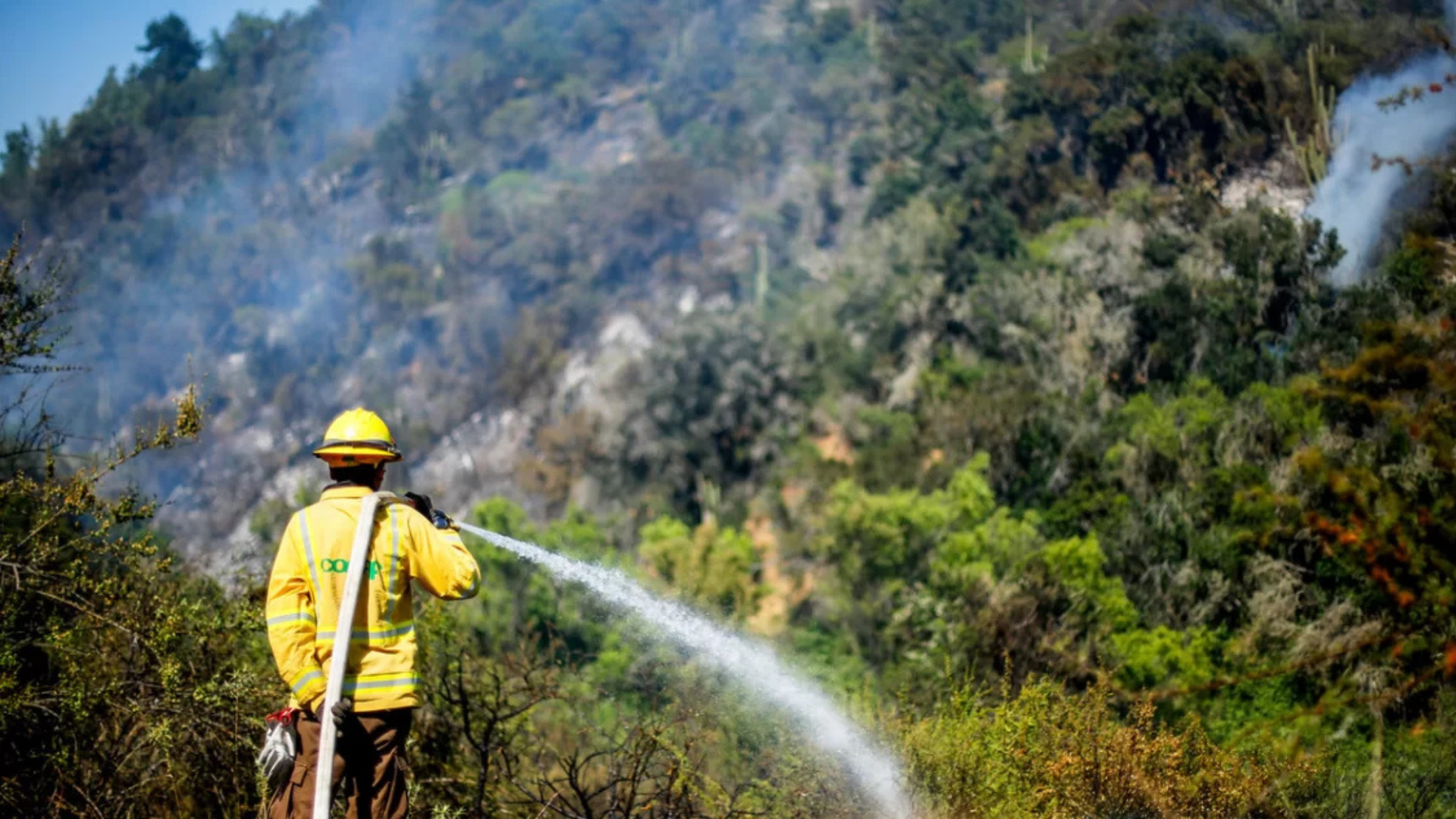 CONAF informa una baja de incendios en la temporada anterior en la Araucanía