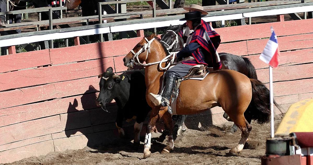 Contexto | Agencia UNO