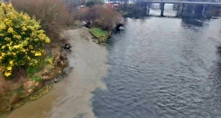 Mancha en el agua: agrupación denuncia en Osorno nueva contaminación en ríos Rahue y Damas